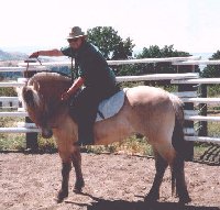Misha haltering the stallion from the saddle