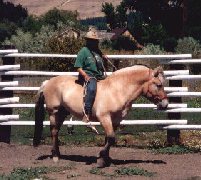Misha bareback on our stallion with single rope rein