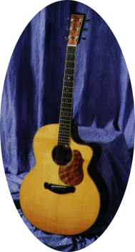 Auditorium Guitar