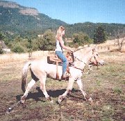 Katie riding Harmony, 6th day of training