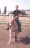 Katie riding Hamba, 4th day of training